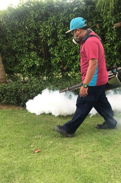 mosquitoes control fogging (1)